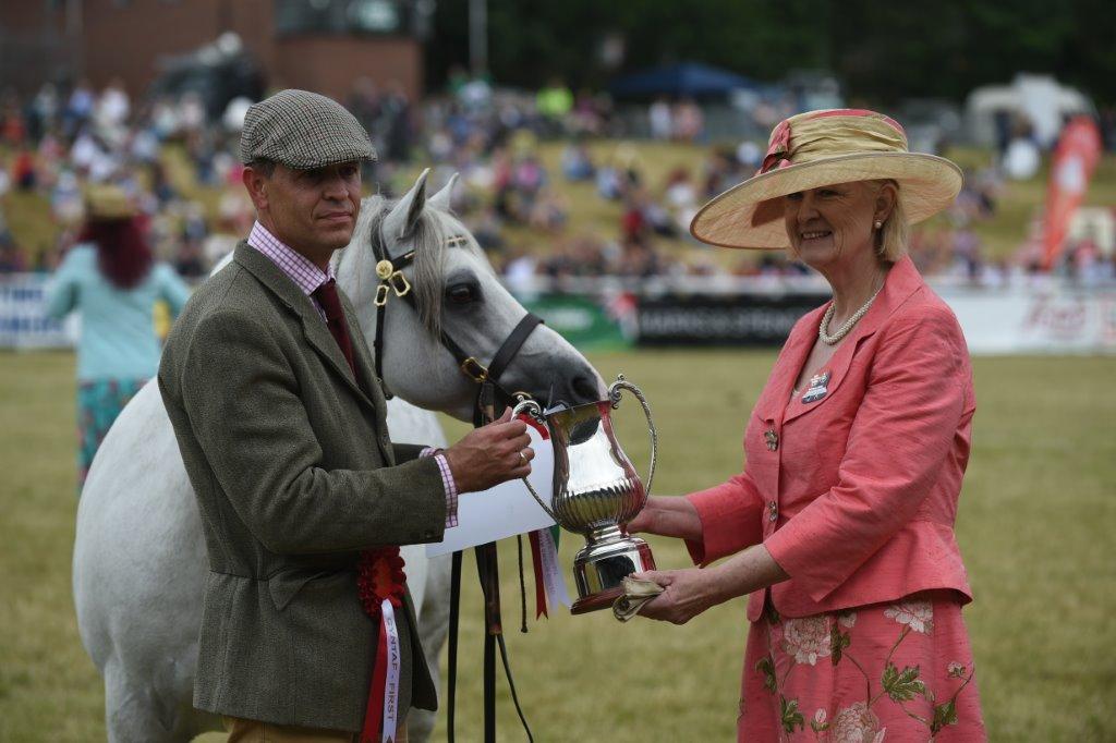 Anna Bigley, Llanarth Stud, Wales - Judge WPCS - *A, *B, *C, *D, *WPBr.